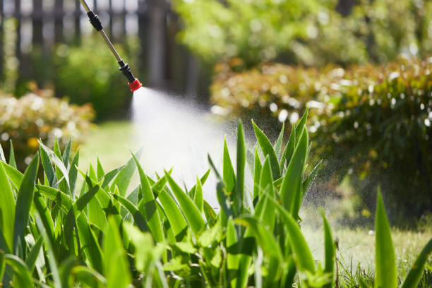 24/7 Emergency Mosquito Control experts in Seeley, CA